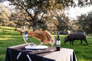Jamón DOP Los Pedroches y albariño D.O. Rías Baixas en dehesa con cerdos ibéricos