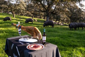 Jamonero DOP Los Pedroches y albariño D.O. Rías Baixas en dehesa con cerdos
