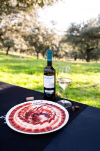 Plato jamón DOP Los Pedroches y albariño D.O. Rías Baixas sobre mesa en dehesa