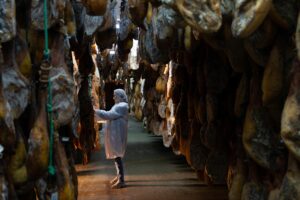 Operario en secadero entre jamones ibéricos DOP Los Pedroches en curación