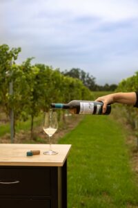 Sirviendo albariño D.O. Rías Baixas en copa sobre mesa con viñedo al fondo