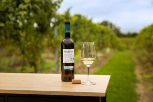 Botella y copa de albariño D.O. Rías Baixas sobre mesa de madera frente al viñedo