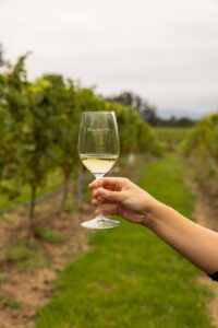 Mano sosteniendo copa de albariño D.O. Rías Baixas frente a viñedo gallego